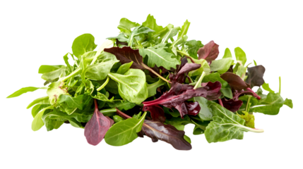 Mesclun Mix: Assorted Baby Salad Leaves Blend Isolated on White Background