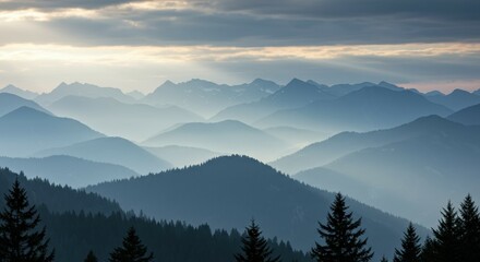 Obraz premium Misty Mountain Landscape with Layers of Pine Trees