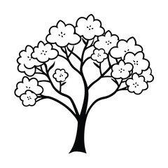 Fototapeta premium Plum Blossom Tree in Bloom