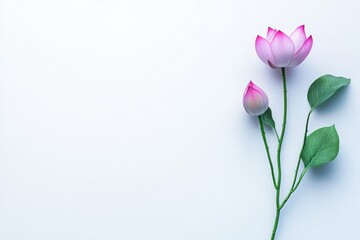 Obraz premium A serene backdrop and tranquil surroundings provide the perfect setting for an elegant pink flower to bloom with poise