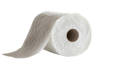 Toilet Paper Roll Isolated on White Background - Professional Stock Photo