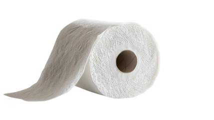 Toilet Paper Roll Isolated on White Background - Professional Stock Photo