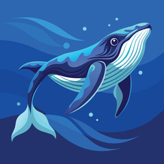 A majestic humpback whale glides gracefully through the deep blue ocean waters.