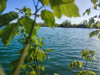 peaceful lake in the woods
