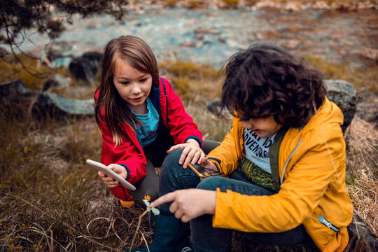 Naklejki Kids exploring nature with smartphone while sitting outdoors on a hike