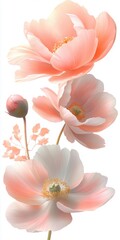 Pastel pink and peach blossoms, delicate petals, soft lighting, floral arrangement, botanical illustration, white background