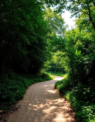 Fototapeta premium Winding sandy path vanishes amidst lush green foliage, sunlight dappled through trees, road, environment