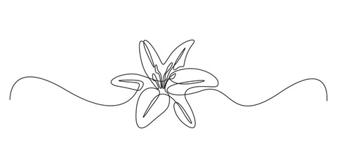 Trout Lily Flower Continuous One Line Drawing with Varying Width Editable Stroke, Lily Single Line Drawing with Editable Stroke. Vector Pen and Ink Illustration, Lily Flower Vector, One line drawing