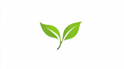 Two leaves graphic on white background