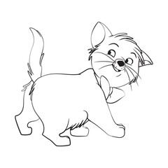 vector illustration of a cat