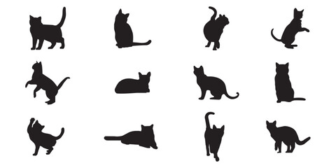 Set of cats silhouette in different poses. Hand drawn black cats isolated on white background. 