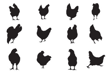 Set of hen silhouette, chicken silhouettes, Set of rooster and hen silhouettes . 