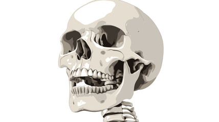 Fototapeta premium detailed 3D rendering of a human skull from a side view, set against a pure white background. The image shows the bones of the skull in high resolution.