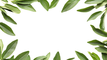 A natural leafy frame with vibrant green leaves, creating a fresh and organic border on a transparent background, perfect for design projects or invitations.