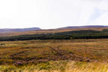 Winding through the Scottish Highlands, the road unveils green pastures, roaming wildlife, and vast unspoiled landscapes. A journey through raw beauty, freedom, silence,nature, timeless wilderness.