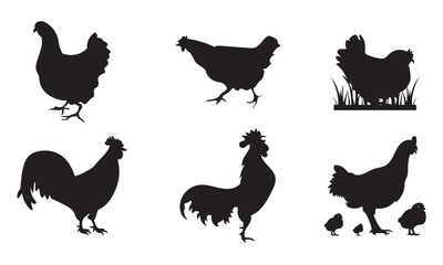 hen or chicken, rooster and chicks silhouette set. hen, rooster and chicks isolated farm animal silhouette icon vector collection
