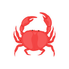 Fresh Seafood Illustration