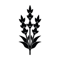 tall gladiolus stem with multiple blossoms