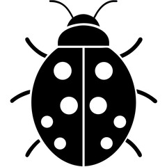 creative details Ladybug icon vector illustration 