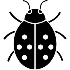 creative details Ladybug icon vector illustration 