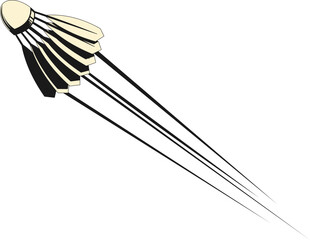 Dynamic Badminton Shuttlecock