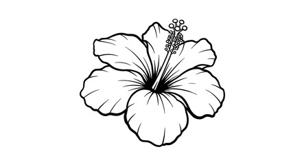 Fototapeta premium Hibiscus Flower Drawing, Line Art Illustration