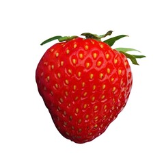 Fresh Red Strawberry 