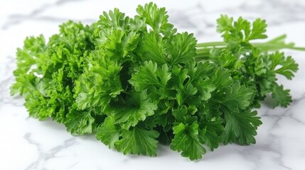 Fototapeta premium Lush green parsley rests elegantly, showcasing its rich color and crisp leaves