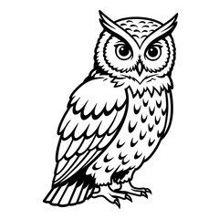 Owl Illustration - Standing Bird Outline