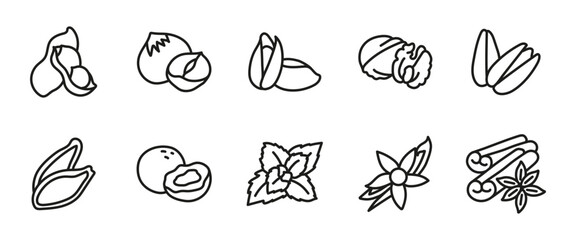 Nuts and spices line icon set. Outline nut varieties including peanuts, pistachios and walnuts, alongside aromatic spices like cinnamon and vanilla. Healthy snack and flavor enhancer symbol.