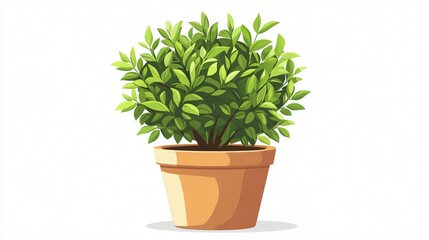 Obraz premium Potted Shrub Plant Vector Isolated Illustration for Botanical Designs