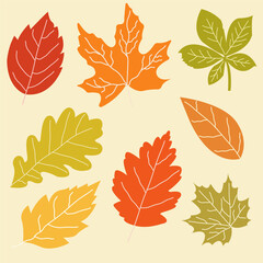 Set of hand drawn autumn leaves.