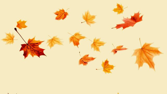 Falling autumn leaves animated overlay, transparent 4K video, alpha channel, ProRes 4444