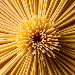 Spaghetti of Italian cuisine, made in the shape of a flower, gathered together. Image from above.