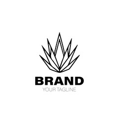 Tequila Logo. Tequila Logo Design. Tequila Logo Brand. Tequila Logo Vector Design Isolated on White Background