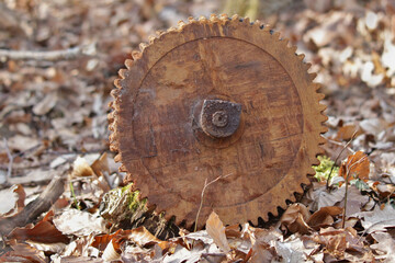 altes Zahnrad aus Holz liegt im Wald