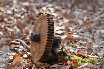 altes Zahnrad aus Holz liegt im Wald