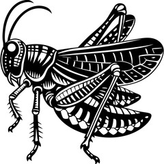 creative details grasshopper icon vector illustration 