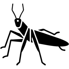 creative details grasshopper icon vector illustration 