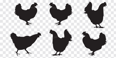 Hens silhouette Icon. Vector silhouette set of detailed quality chickens hens, poultry. Eps 10