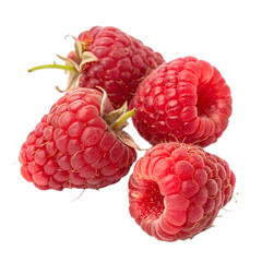 Watercolor Set of four rip raspberries isolated on transparent background