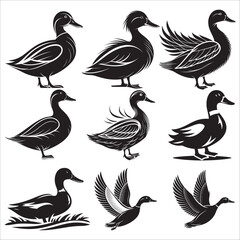 Duck silhouette vector
