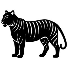 Tiger vector silhouette illustration isolated on white background