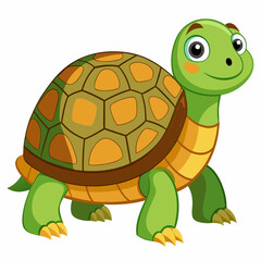 tortoise isolated vector