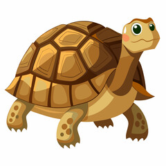 tortoise isolated vector