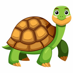 tortoise isolated vector