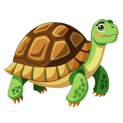 tortoise isolated vector