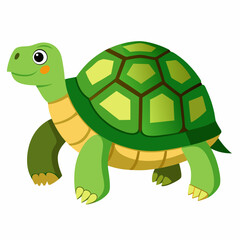 tortoise isolated vector