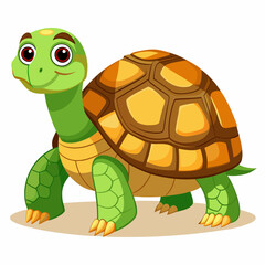 tortoise isolated vector