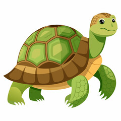 tortoise isolated vector